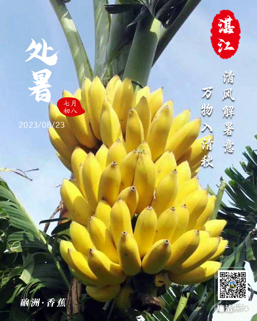 1692588249360621.jpg