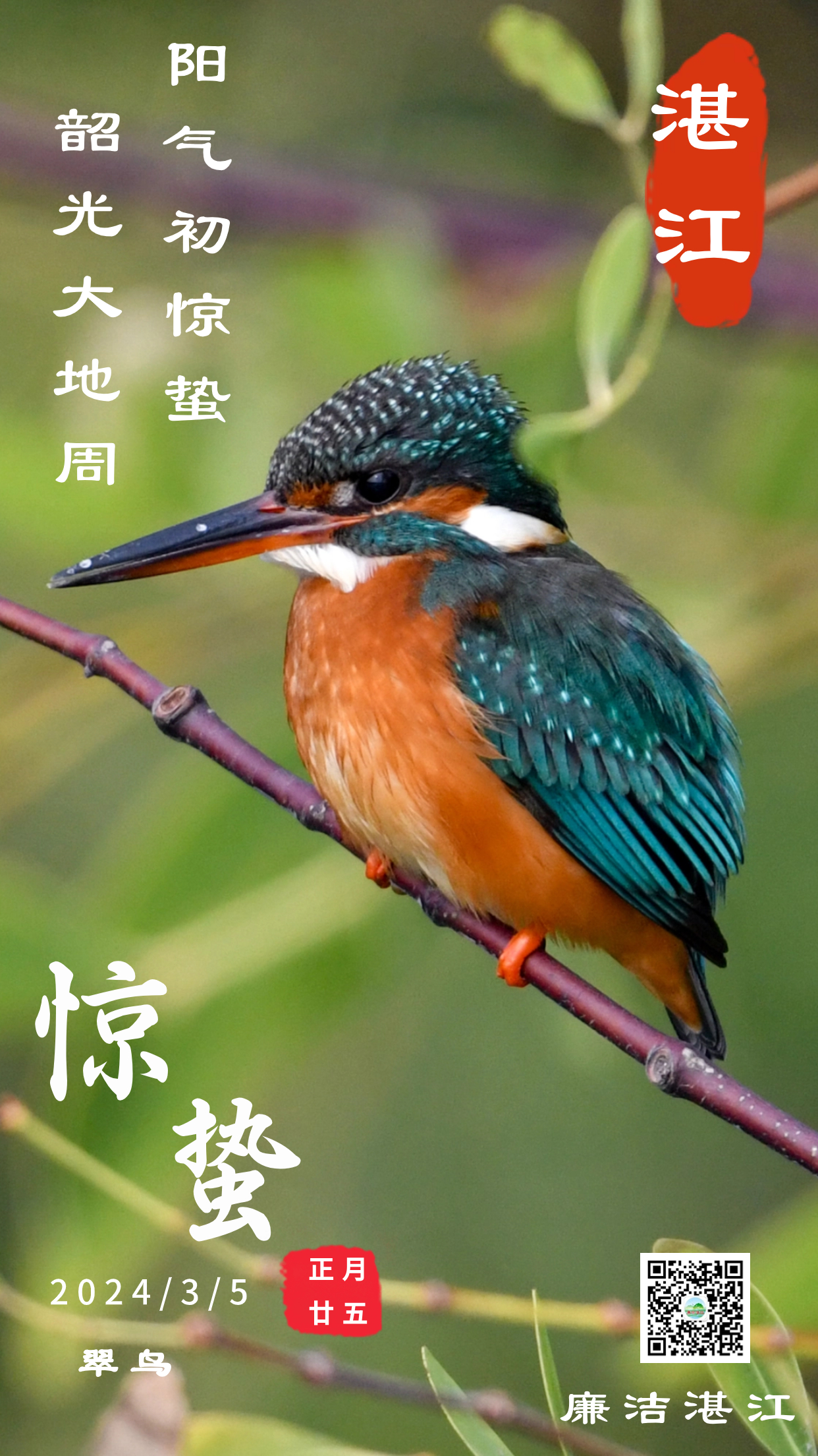 惊蛰.jpg