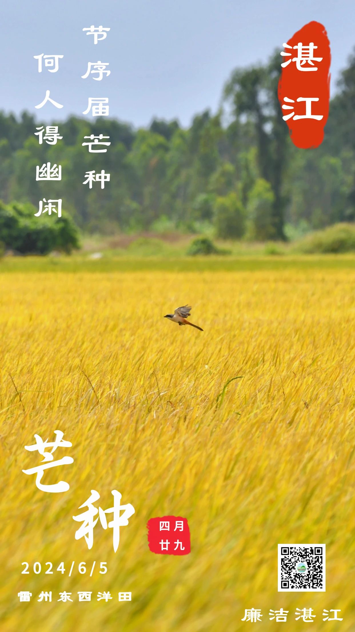 微信图片_20240605104343.jpg