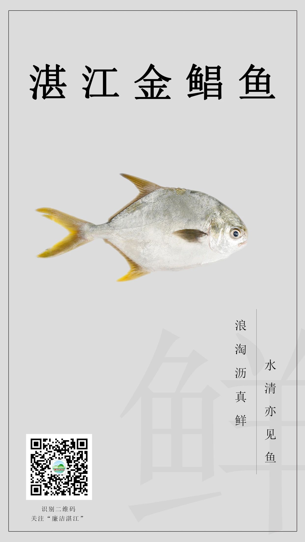 微信图片_20240905124047.jpg