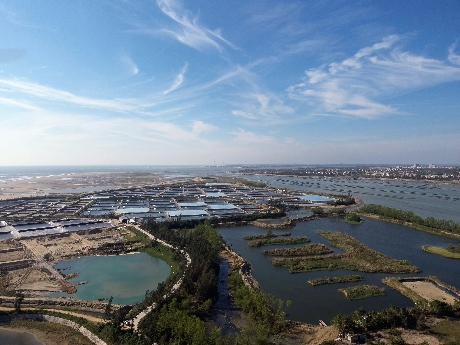 1763083143945593.jpg 1.jpg